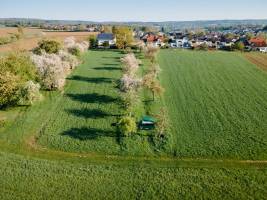 Schöne Streuobstwiese im Odenwald bei Heidelberg