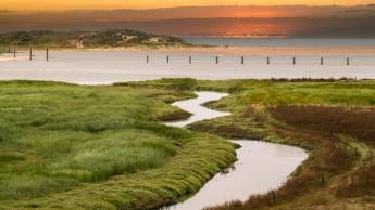 City hotel Terneuzen