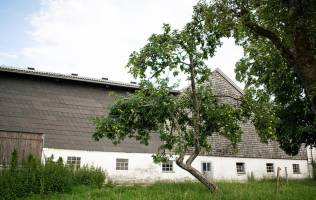 Bauernhof in Salzburg