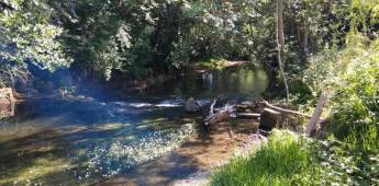 Der kleine Bauernhof auf der Wiese, Dommartin le Saint Pere, Gra