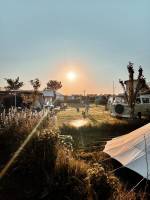 Camping Johanna's Bos in einem jungen Speisewald mitten in der P