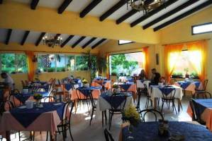 Soller Garden
