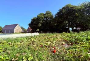 Im Herzen eines Gemüsegartens in der Bretagne