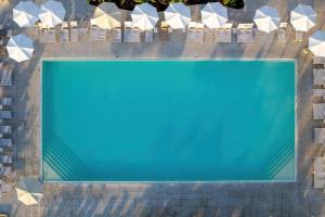 Domes Aulus Zante Autograph