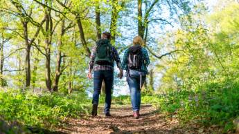 Hotel & Restaurant Wildthout