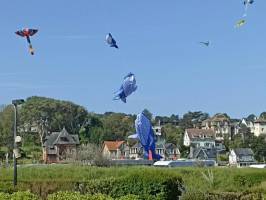 Camping Domaine Saâne Et Mer