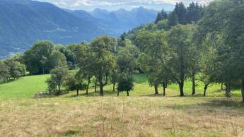 Ruhiger und idyllischer Waldaufenthalt