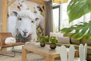 Baby- & kinderbungalow met warme bubbeltub I 5 pers.