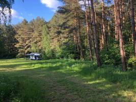 Grüne Wiese im Wald oder idyllischer Hofstellplatz
