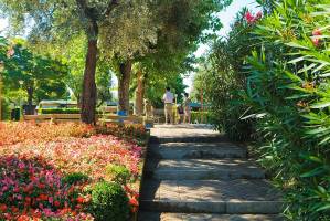 Camping Cisano/San Vito