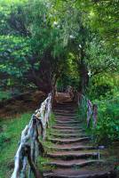 10 daagse fly drive Romantisch Madeira