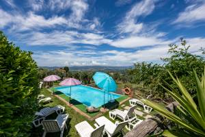 Beautiful Casolare With Pool Among Green