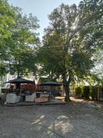 Camping im Schatten, flaches und weites Land, Provence-Alpes-Côt