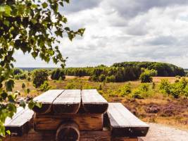 Roompot Bospark De Schaapskooi