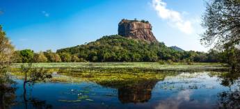 Bewonder leeuwenrots Sigiriya Rots