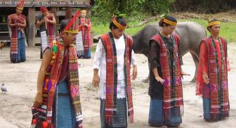 Rondreis 28 dagen Klassiek en cultureel Sumatra, Java en Bali