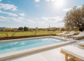 Petri Olive Houses