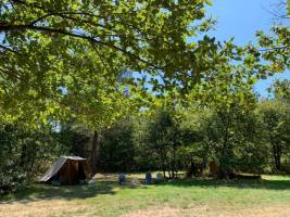 Grüner Campingplatz zwischen den Weinbergen