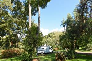 Camping Sagone