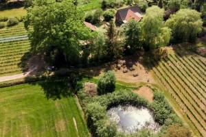 Stimmungsvolles Camping auf unserem ruhigen Weinberg in Wintersw