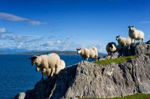 25-daagse rondreis Ierland & Noord-Ierland in B&B's - Grand