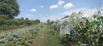 Campingplatz in Olgiate Comasco, Como