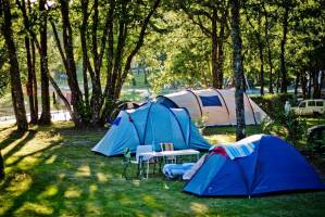 Eine Oase der Ruhe am Teich