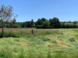 Campingplatz in LE TEILLEUL, Normandie