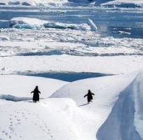 Groepsrondreis Antarctica