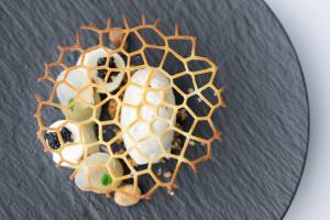 Grand Hotel Beatrix | Genießen Sie Fine Dining & Wellness an der