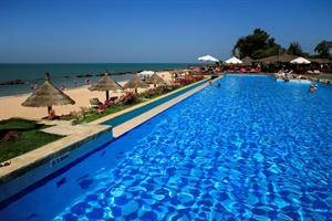 Royal Horizon Baobab