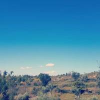 Übernachten zwischen Oliven- und Feigenbäumen