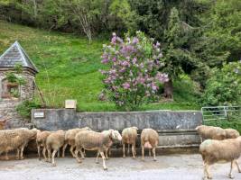 Campingplatz in Sost, Okzitanien