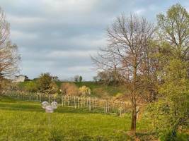 Campingplatz in Susegana, Treviso Italien