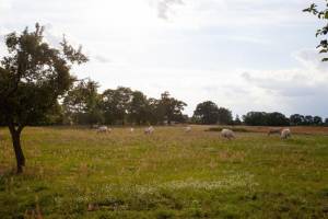 Campspace in Dreetz, Brandenburg