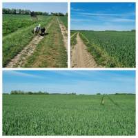 Campspace in Sundhagen, Mecklenburg-Vorpommern