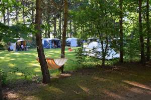 Camping Het Horstmannsbos