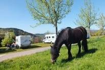 Camping Kirnermartes Hof