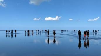 Hotel Waddengenot Pieterburen