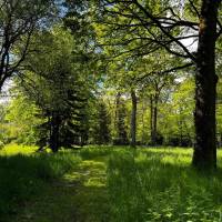 Zwischenstopp und Abschalten in der Natur mitten im Wald