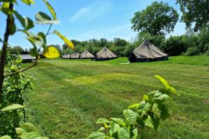 Charmecamping & Appartementen De Regge-vallei