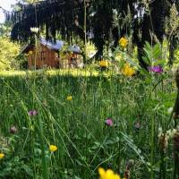 Campingplatz in La Bridoire, Auvergne-Rhône-Alpes