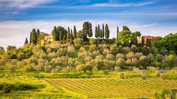 Rondreis langs het Gardameer en door de Chianti-streek