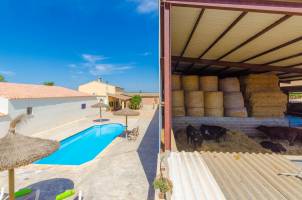 Sa Caseta De Ses Vaques.son Covas (Sa Vaqueria 2)