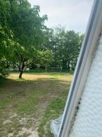 Wilde Blumenwiese am Ihler Forst