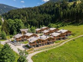 Tauernlodge Eben D1