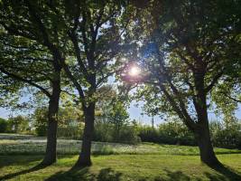 Campspace in Arpsdorf, Schleswig-Holstein