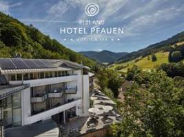 Elzland Hotel Pfauen