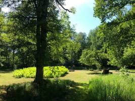 Ökocamping unter Apfelbäumen im Wald