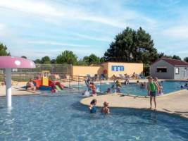 Flower Camping Vitamin